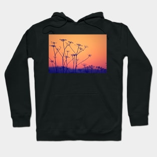 Wild and Precious Life Hoodie